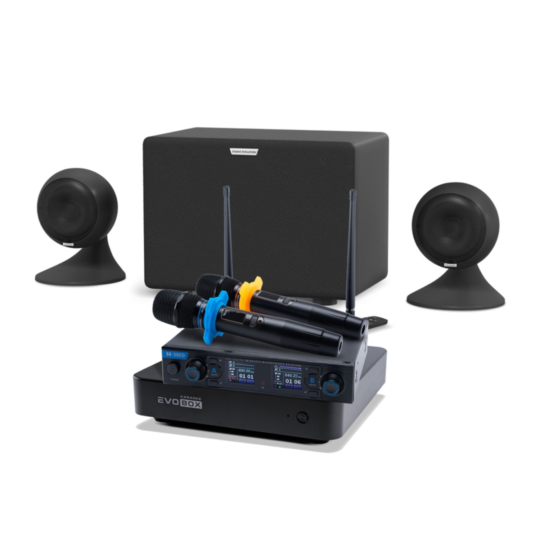 караоке-комплект EVOBOX + EvoSound Sphere 2.1 в Дагестане