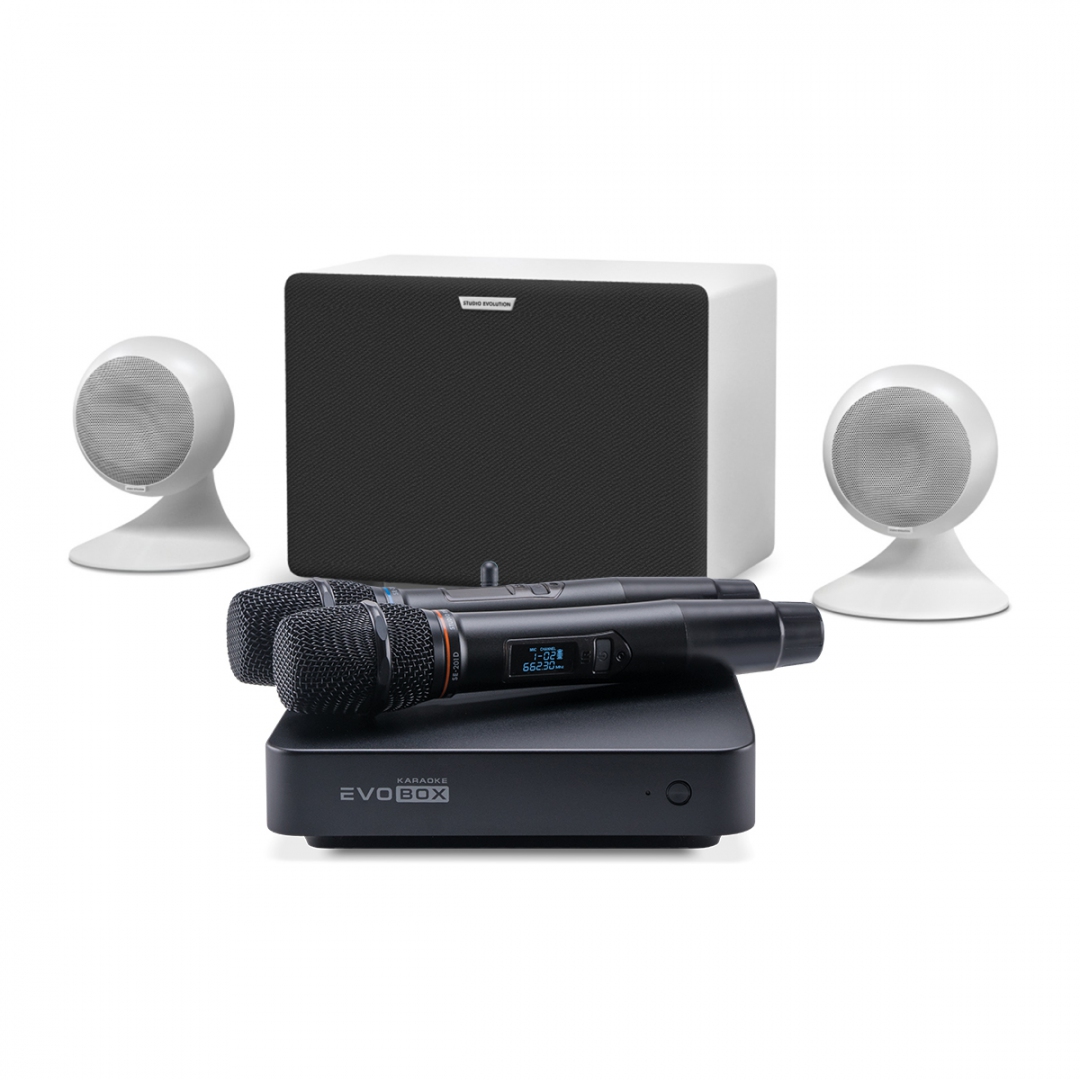 караоке-комплект EVOBOX Classic + EvoSound Sphere 2.1 в Дагестане