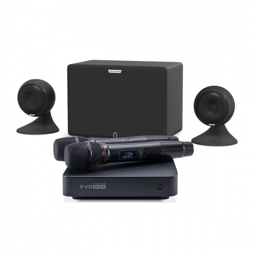 караоке-комплект EVOBOX Plus + EvoSound Sphere 2.1 в Дагестане