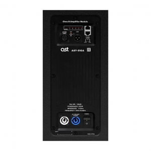 Активная акустическая система AST-310A в Дагестане