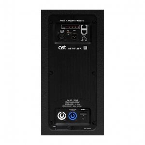Активный сабвуфер AST-712SA в Дагестане
