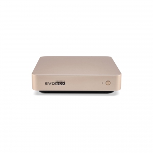 EVOBOX с микрофонами в Дагестане
